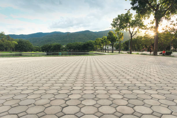 Best Driveway Pavers Near Me  in Avon, CO